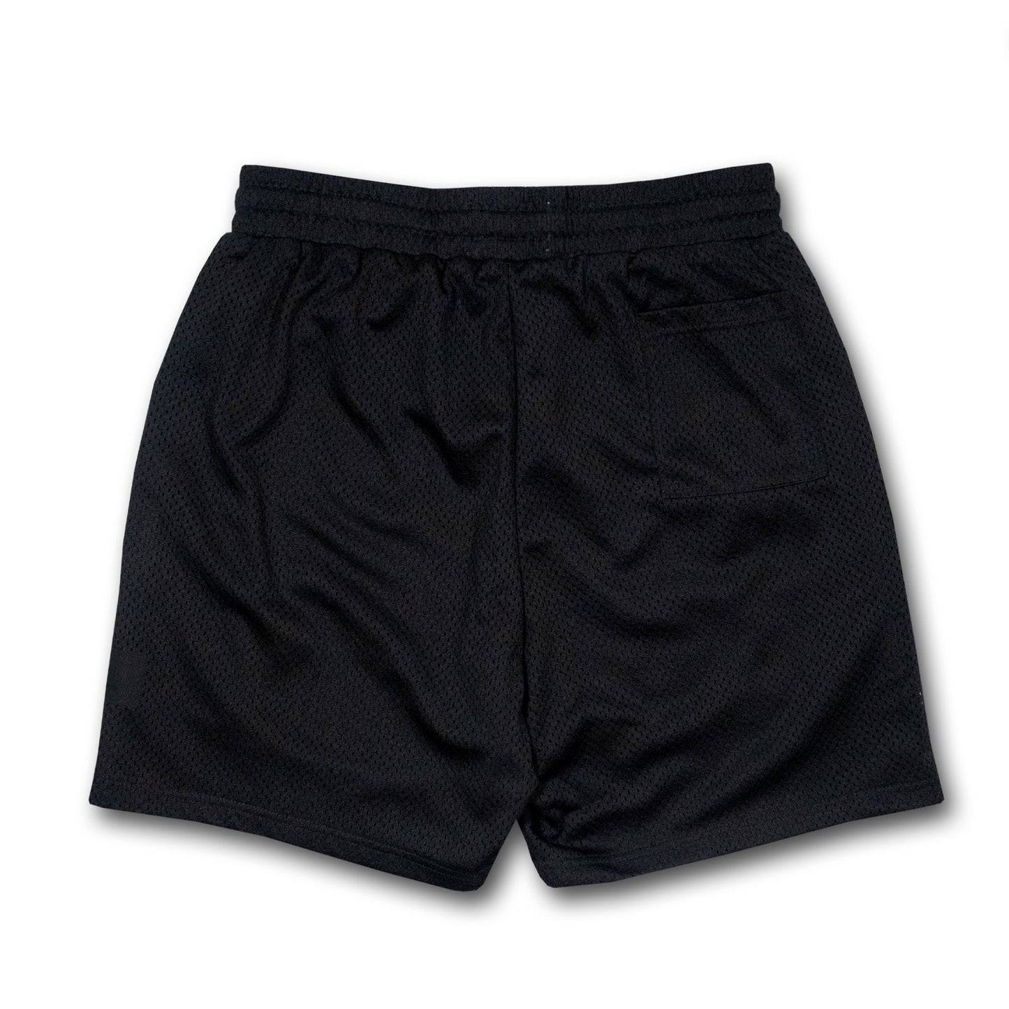 Black-Label Mesh Shorts (Black)